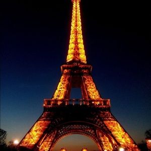 Paris is the fashion capital of the world.